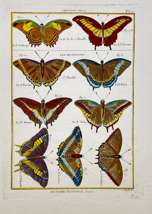 Antique Print - Pietro Scattaglia - Varieties of Butterflies - Greek Knights F5