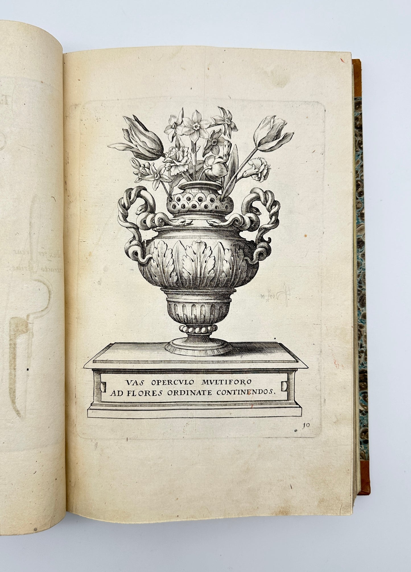 Johann Theodor de Bry and Matteus Merian - Florilegium renovatum et auctum: Das ist Vernewertes und vermehrtes Blumenbuch