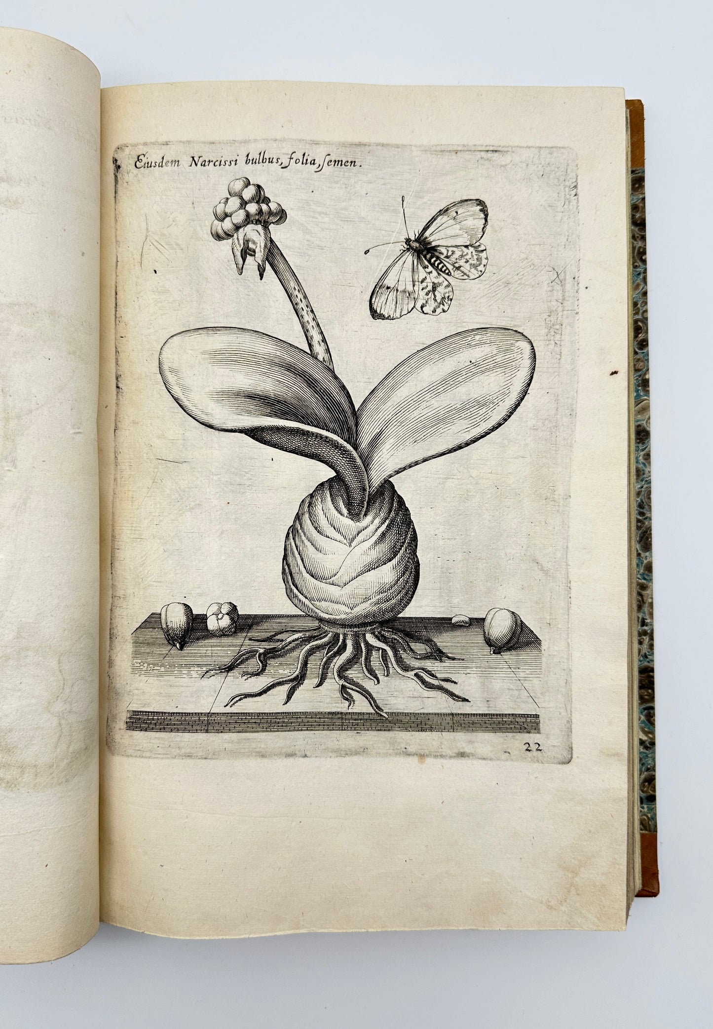 Johann Theodor de Bry and Matteus Merian - Florilegium renovatum et auctum: Das ist Vernewertes und vermehrtes Blumenbuch