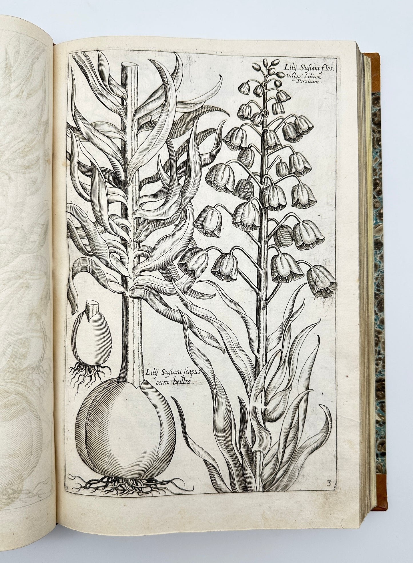 Johann Theodor de Bry and Matteus Merian - Florilegium renovatum et auctum: Das ist Vernewertes und vermehrtes Blumenbuch