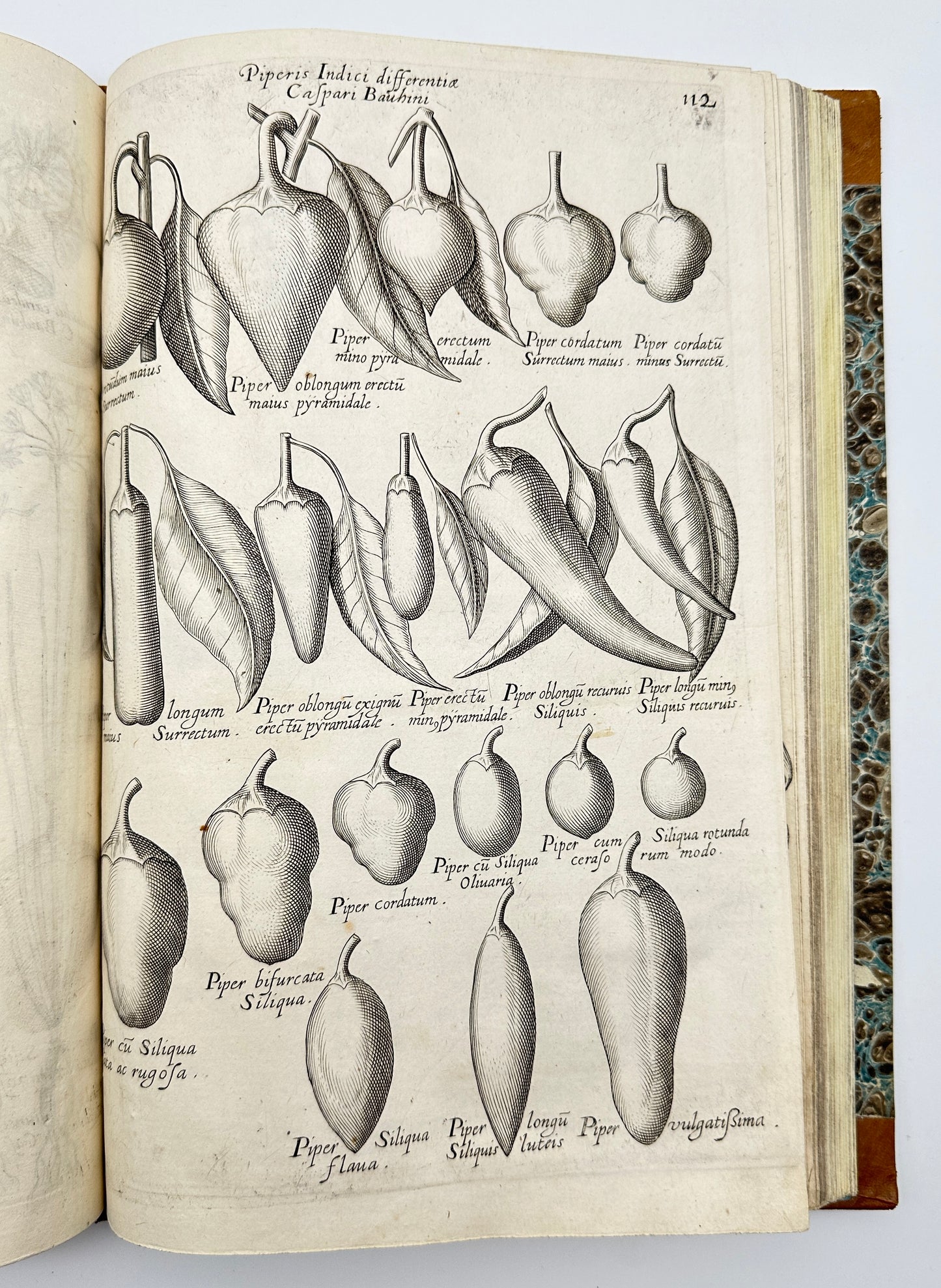 Johann Theodor de Bry and Matteus Merian - Florilegium renovatum et auctum: Das ist Vernewertes und vermehrtes Blumenbuch