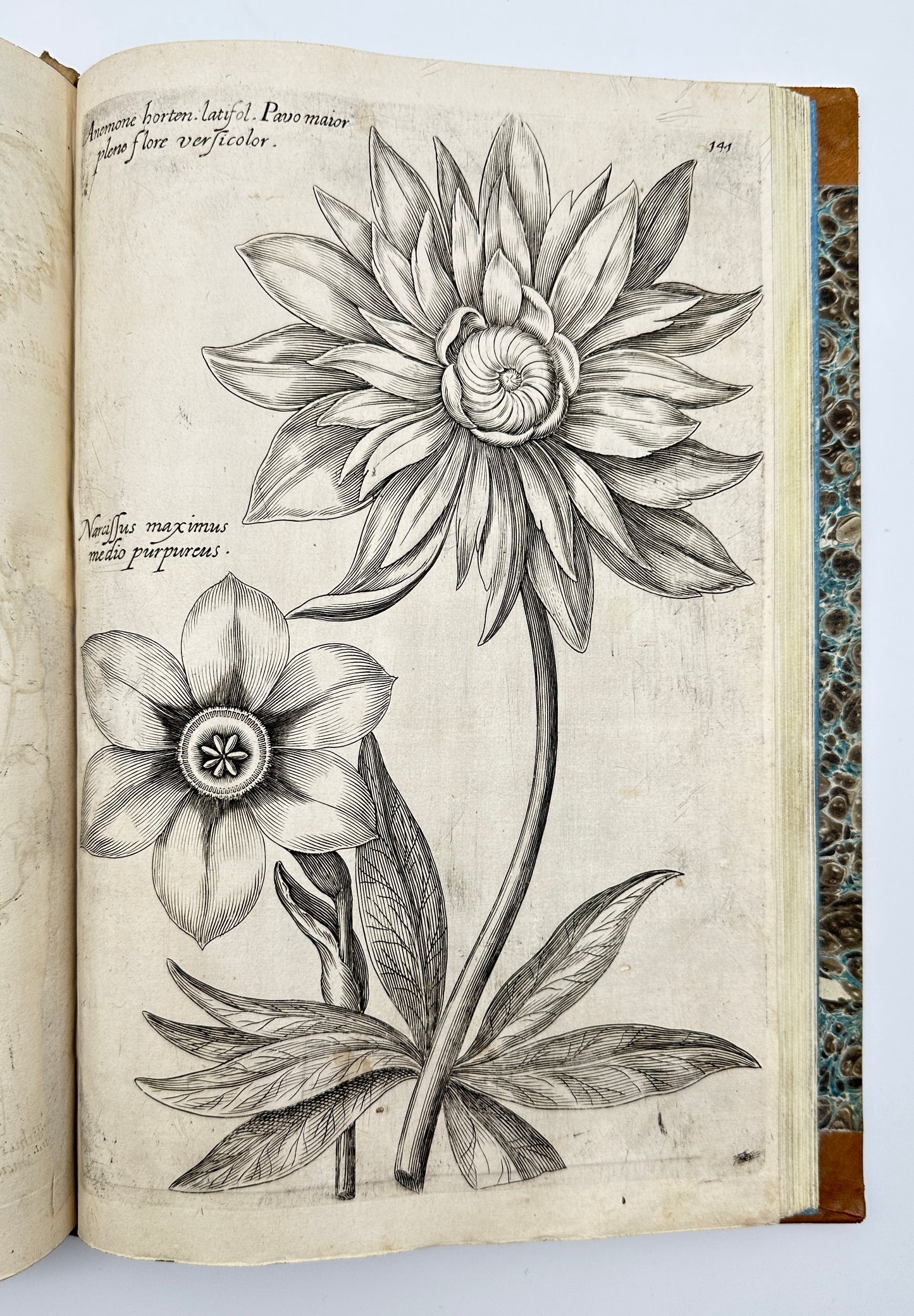 Johann Theodor de Bry and Matteus Merian - Florilegium renovatum et auctum: Das ist Vernewertes und vermehrtes Blumenbuch