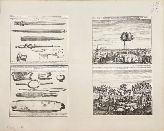 Antique Print - Erik Dahlberg - View over Bråvalla Heath in Sweden - E1